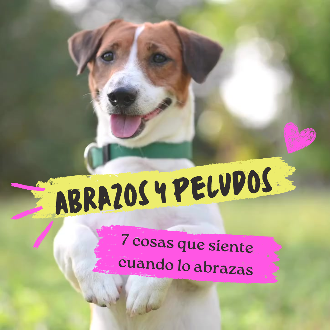 7 Cosas que siente cuando lo abrazas
