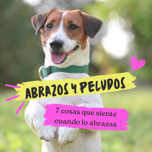 7 Cosas que siente cuando lo abrazas
