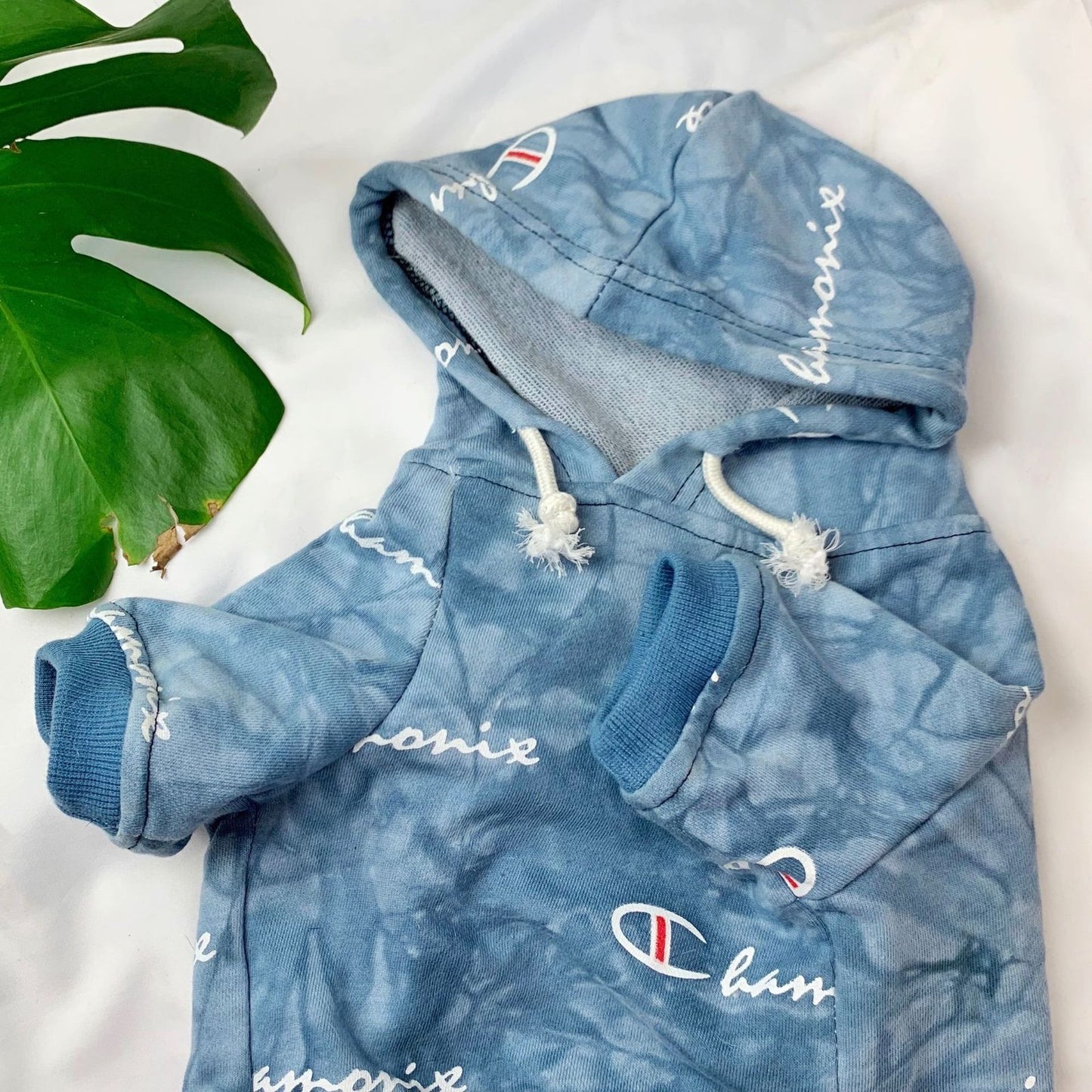Champion Tie Dye