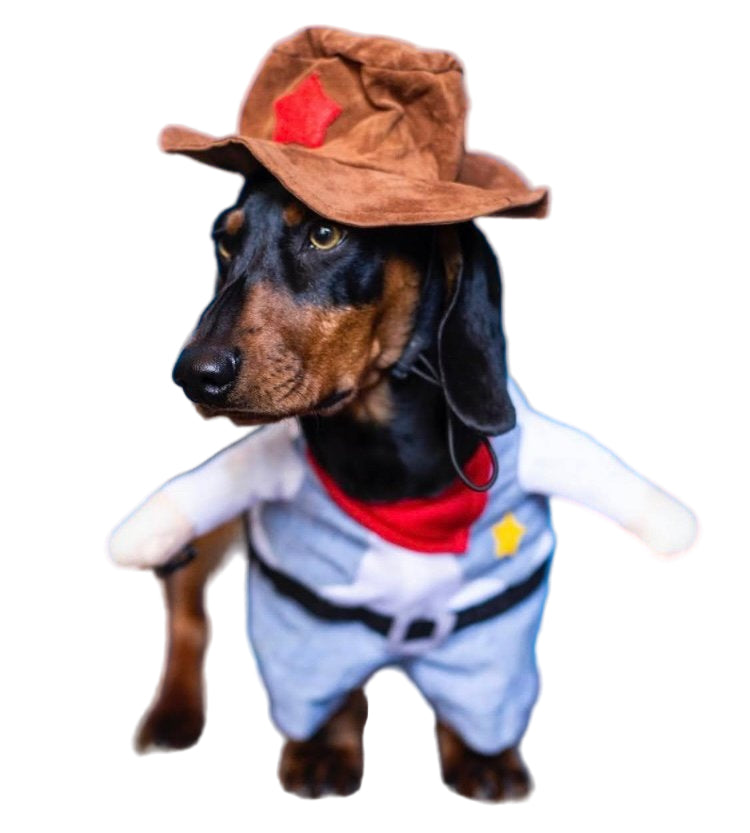 Disfraz Sherif para perro o gato