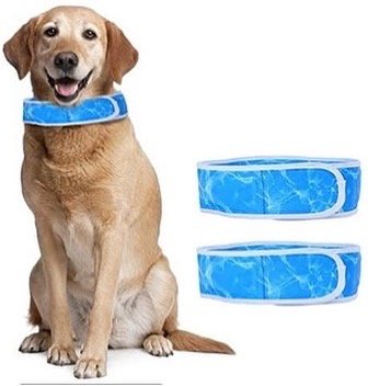 Collar Refrigerantes