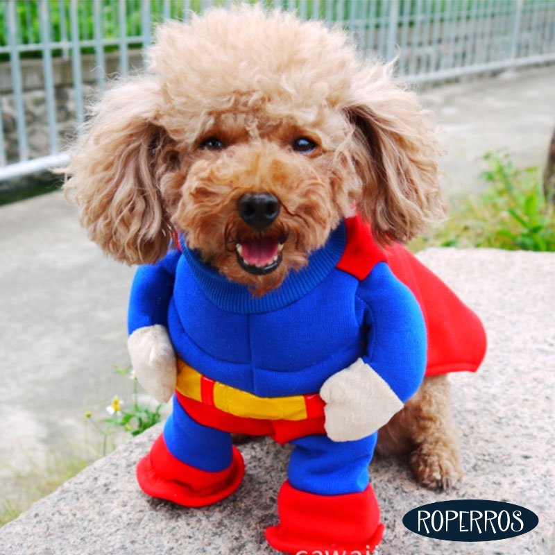 Disfraz Superman Musculoso