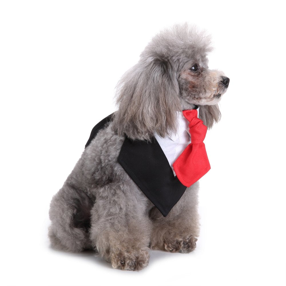 Badana Elegante