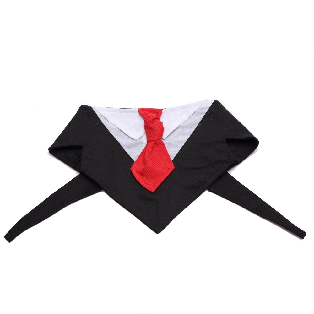 Badana Elegante