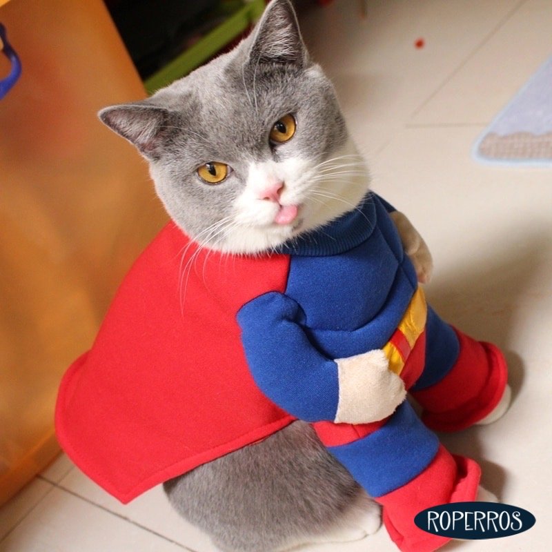 Disfraz Superman Musculoso