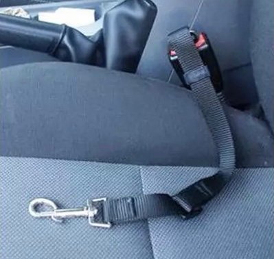 Cinturon Seguridad Mascota