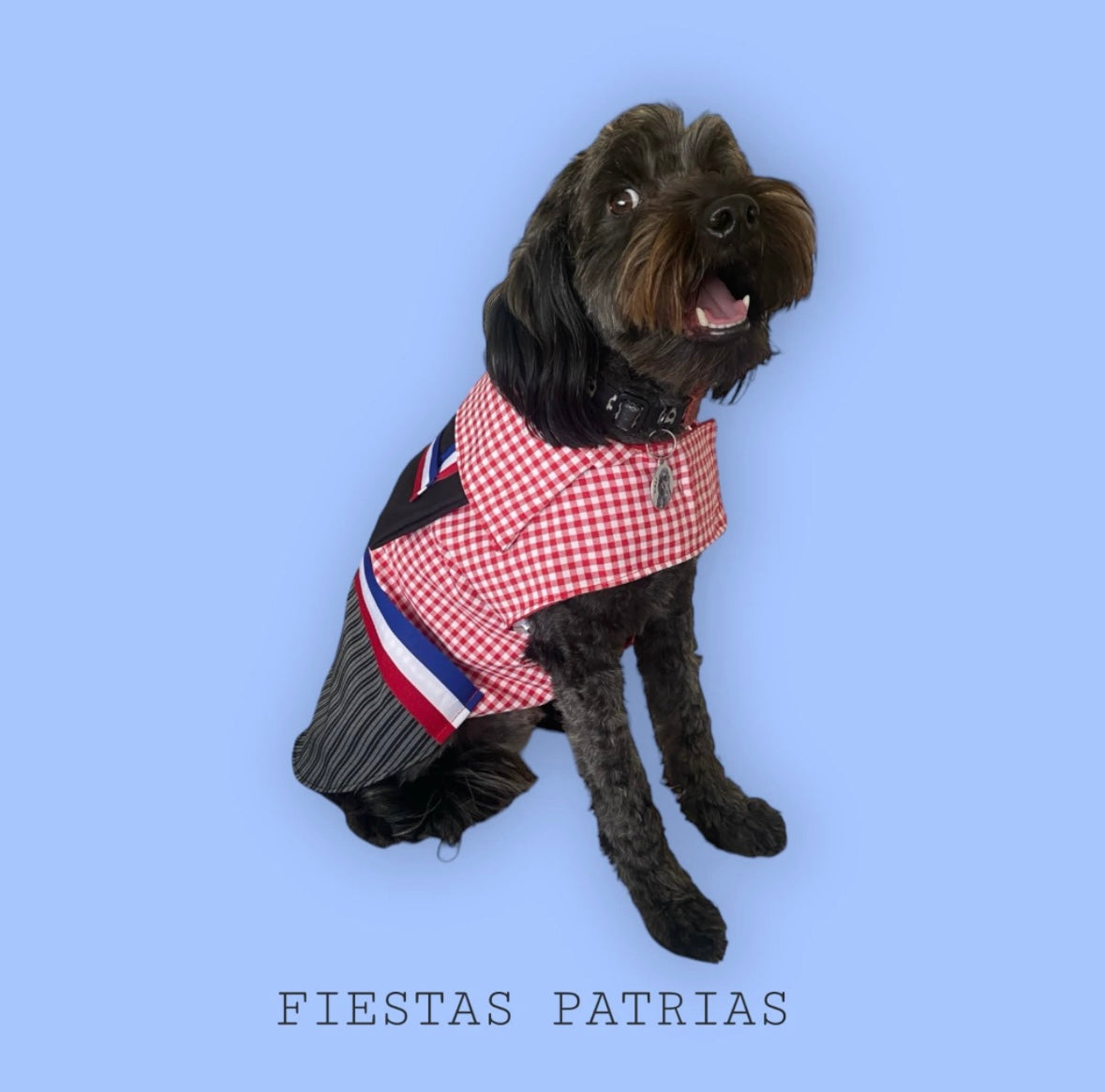 Ropa para mascotas: Huaso Campesino