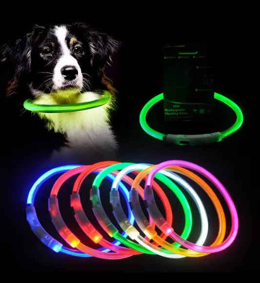 Collar LED para perros