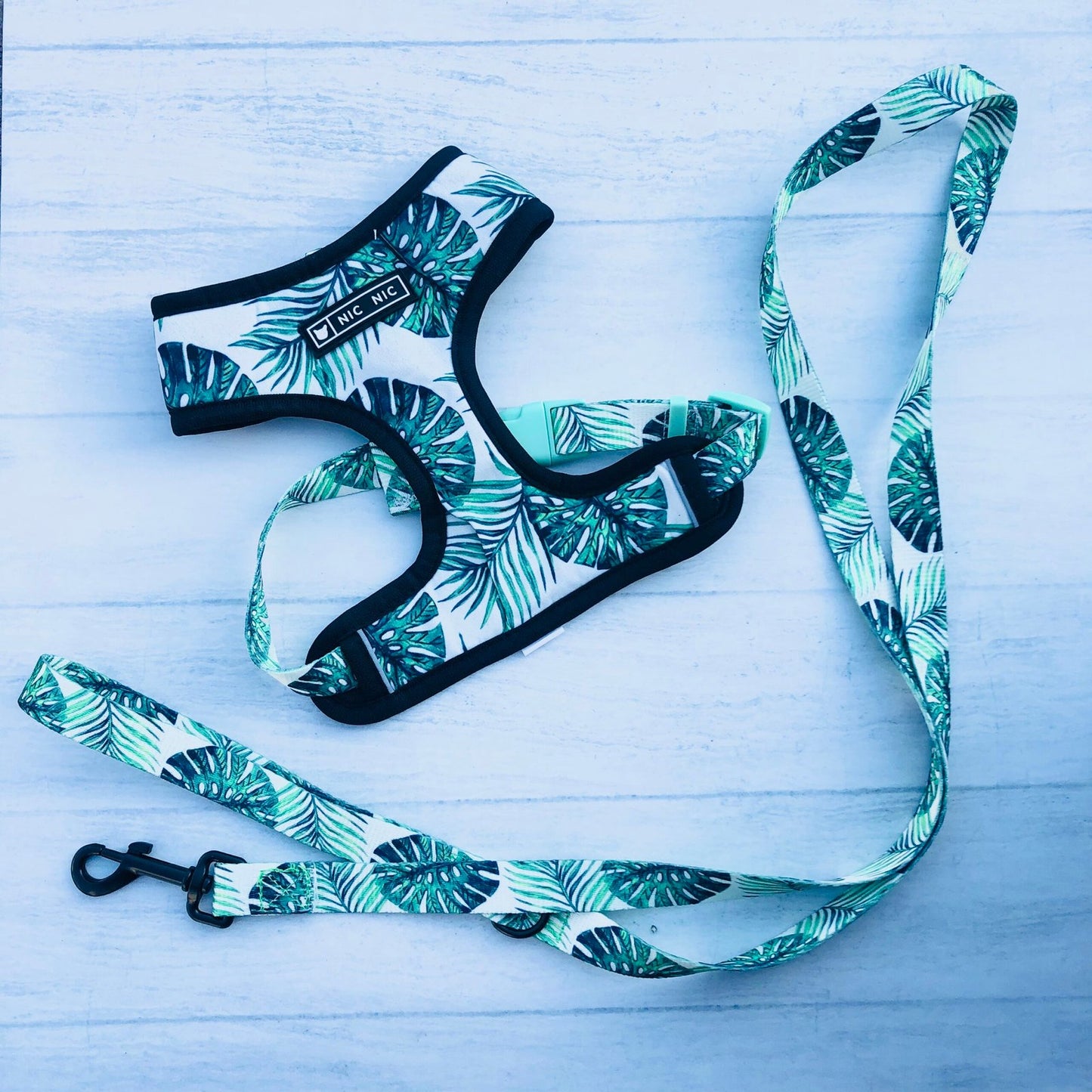 Conjunto Monstera