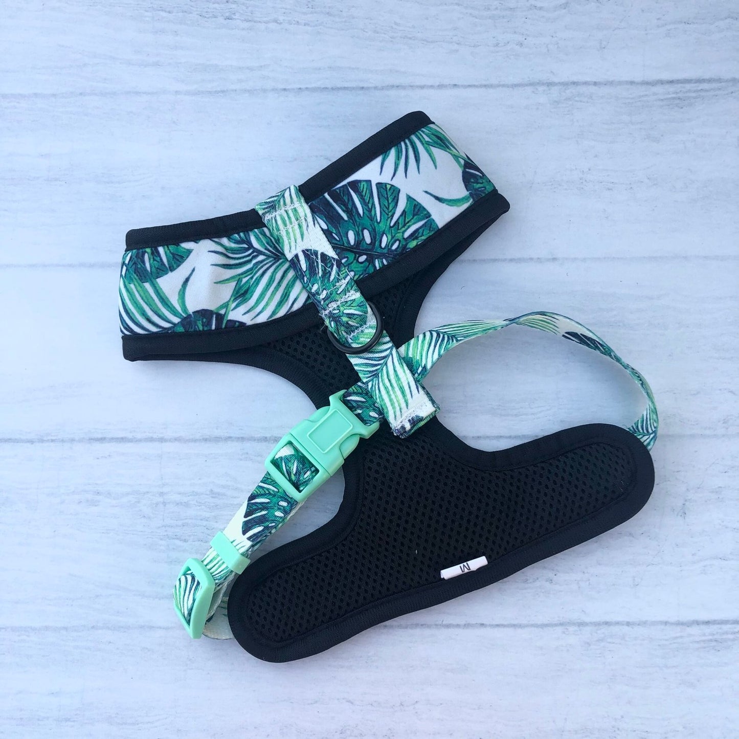 Conjunto Monstera