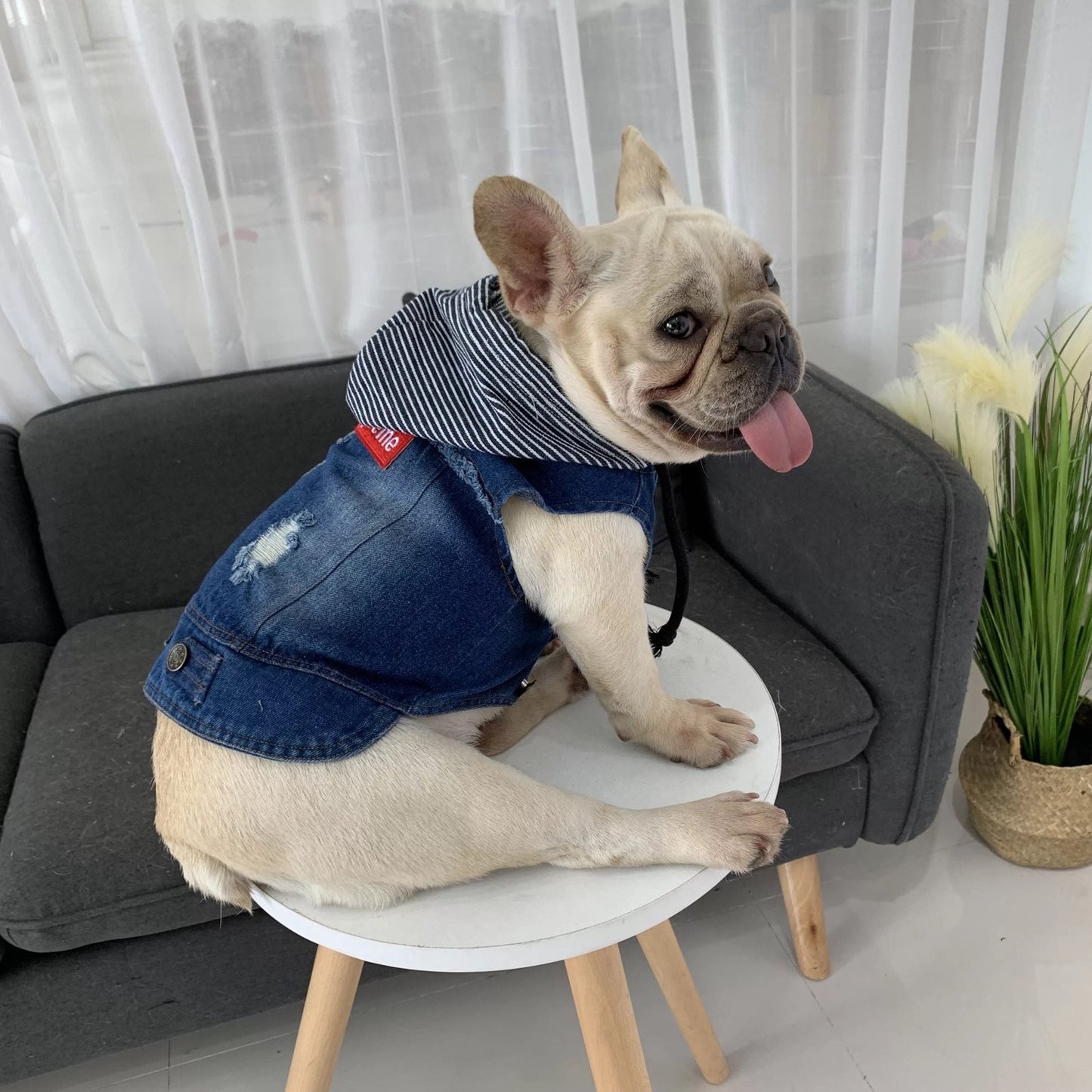 Chaqueta Jeans Supreme