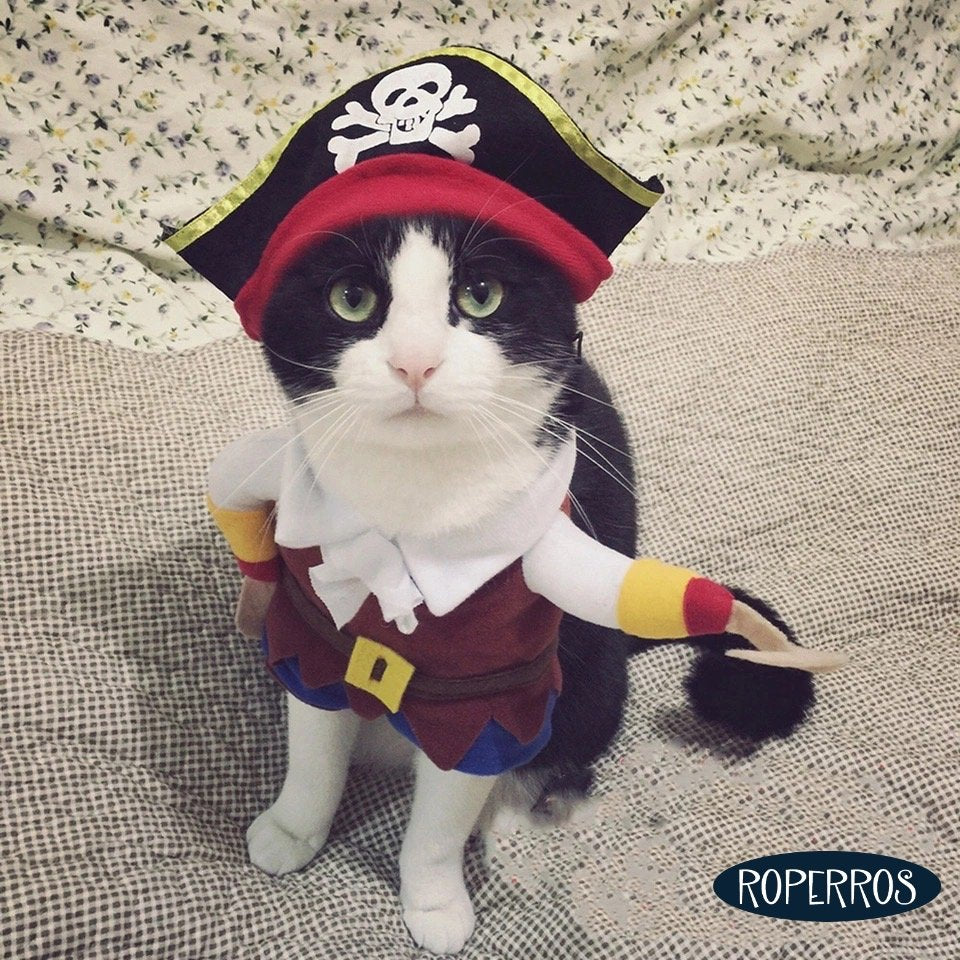 Disfraz Pirata para perro o gato