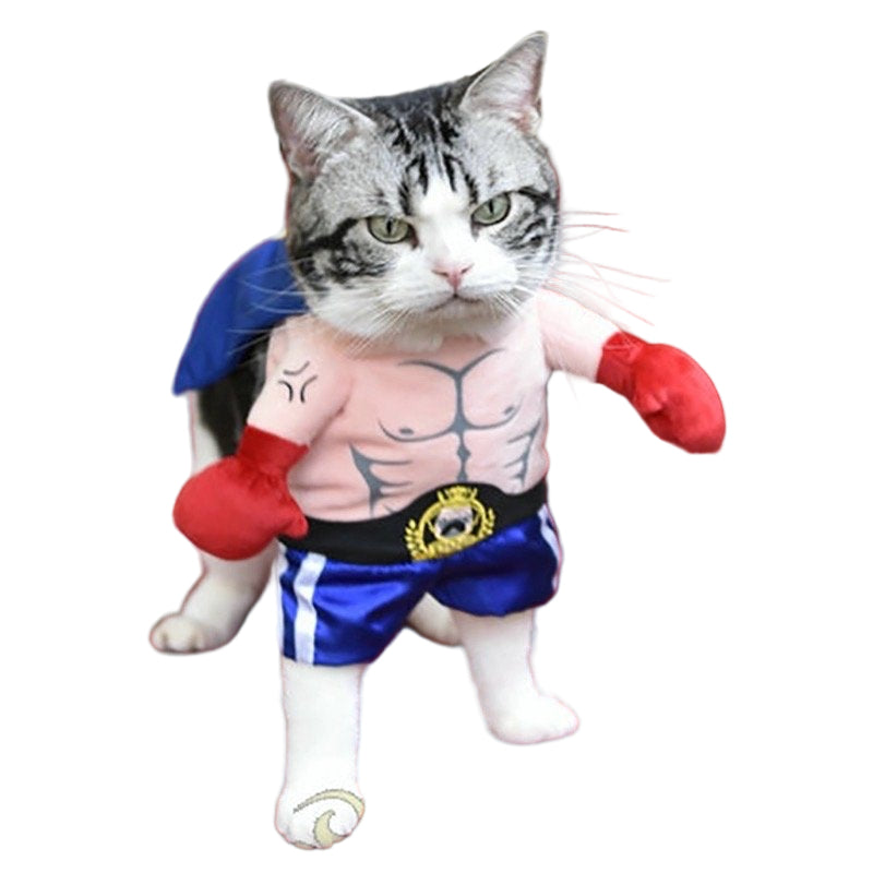 Disfraz Boxeador para perros o gatos