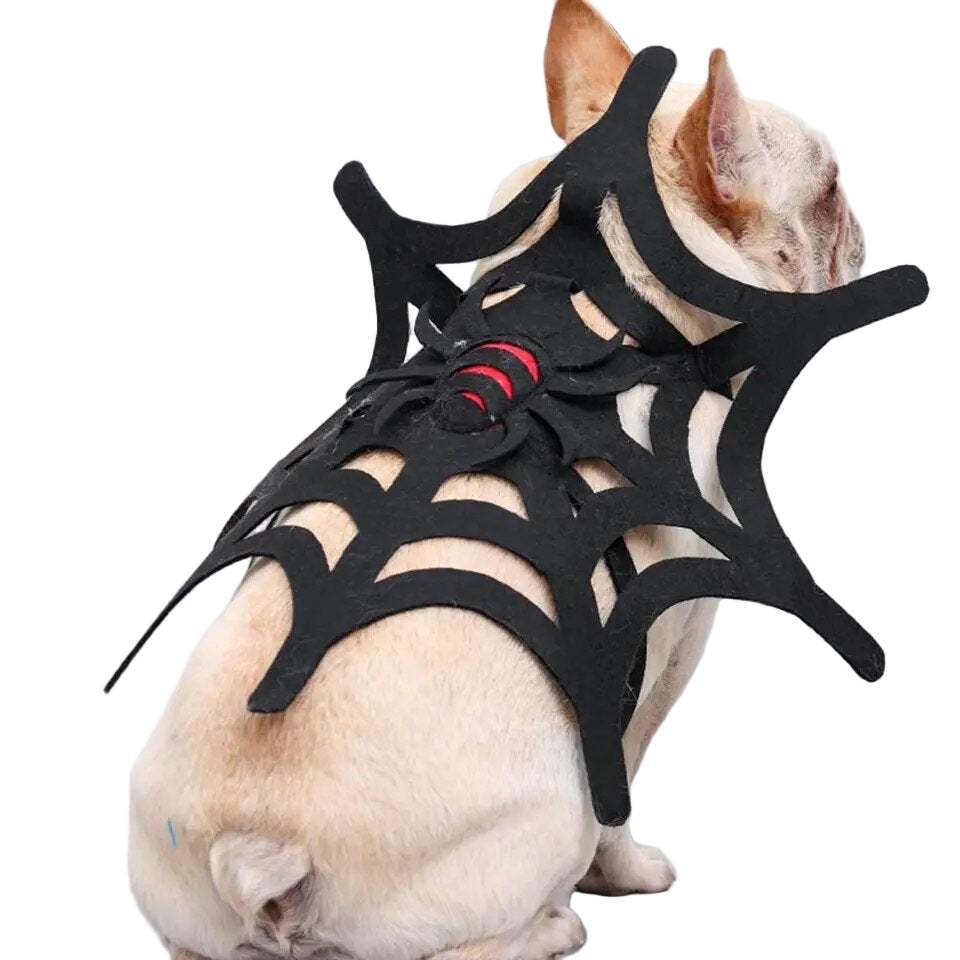 Disfraz de Tela Araña para perros
