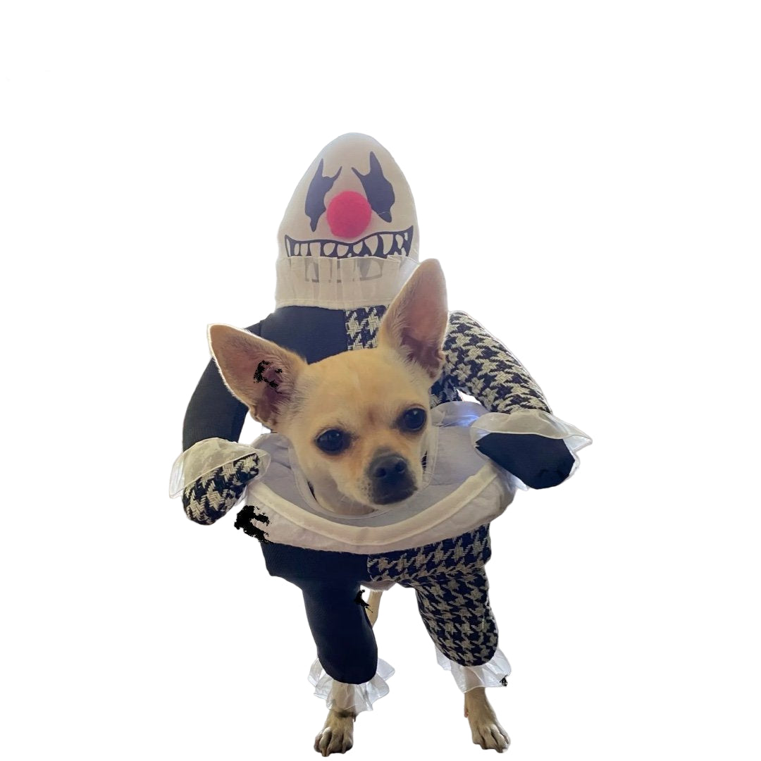 Disfraz de Payaso Arlequin para perros o gatos