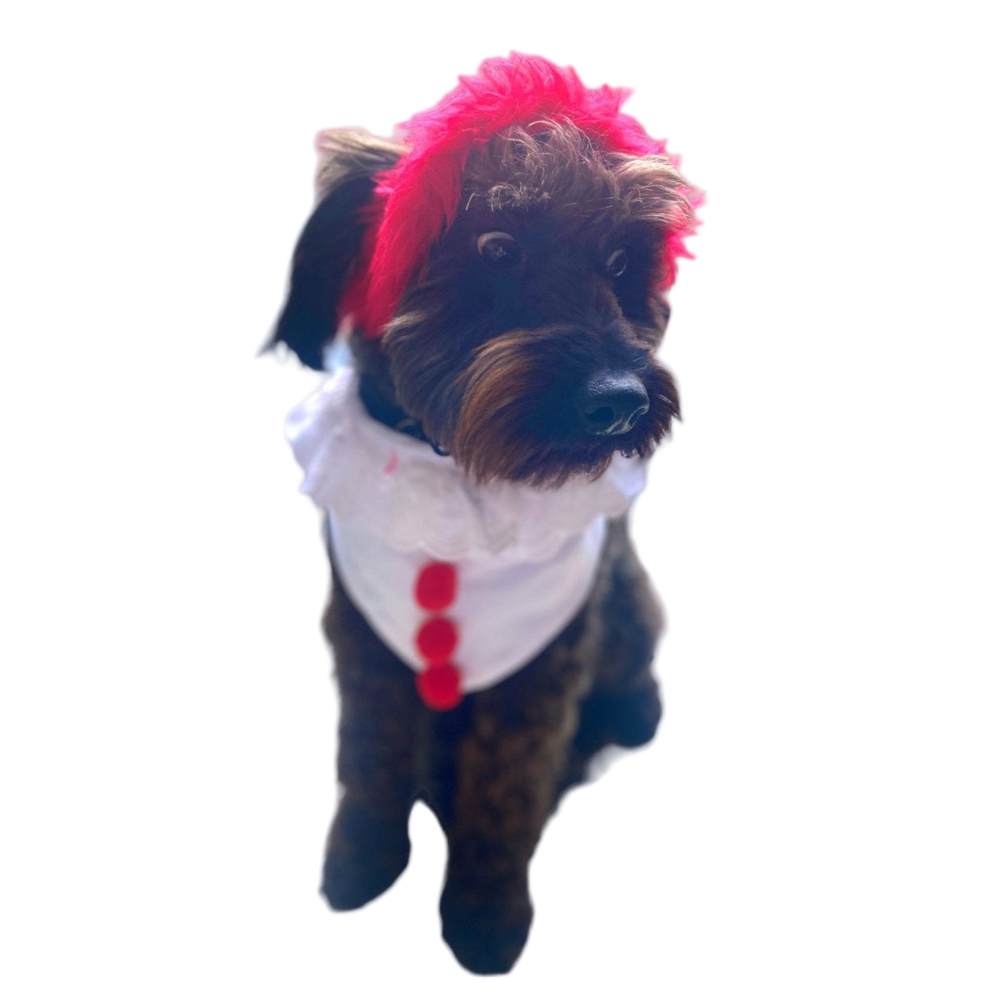 Disfraz de Payaso 2 (Its)