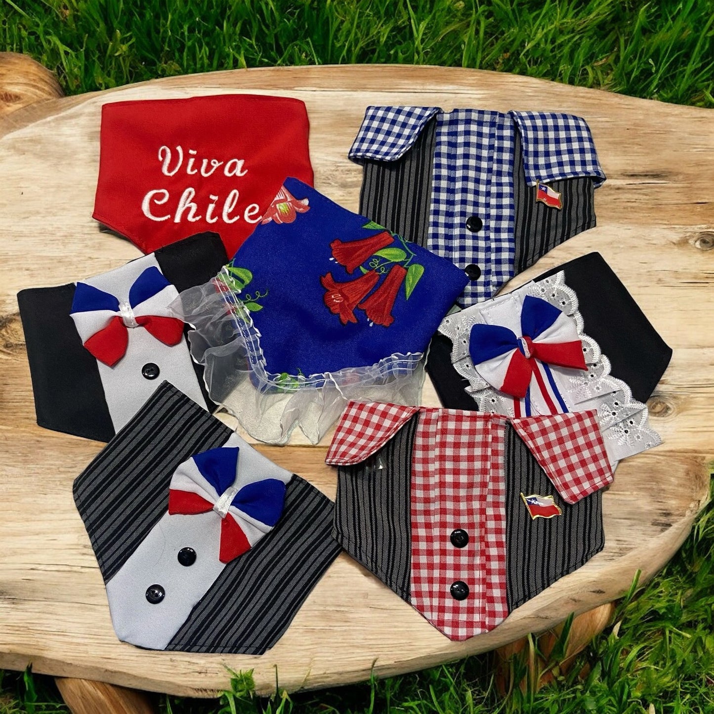 Pañuelos Dieciocheros