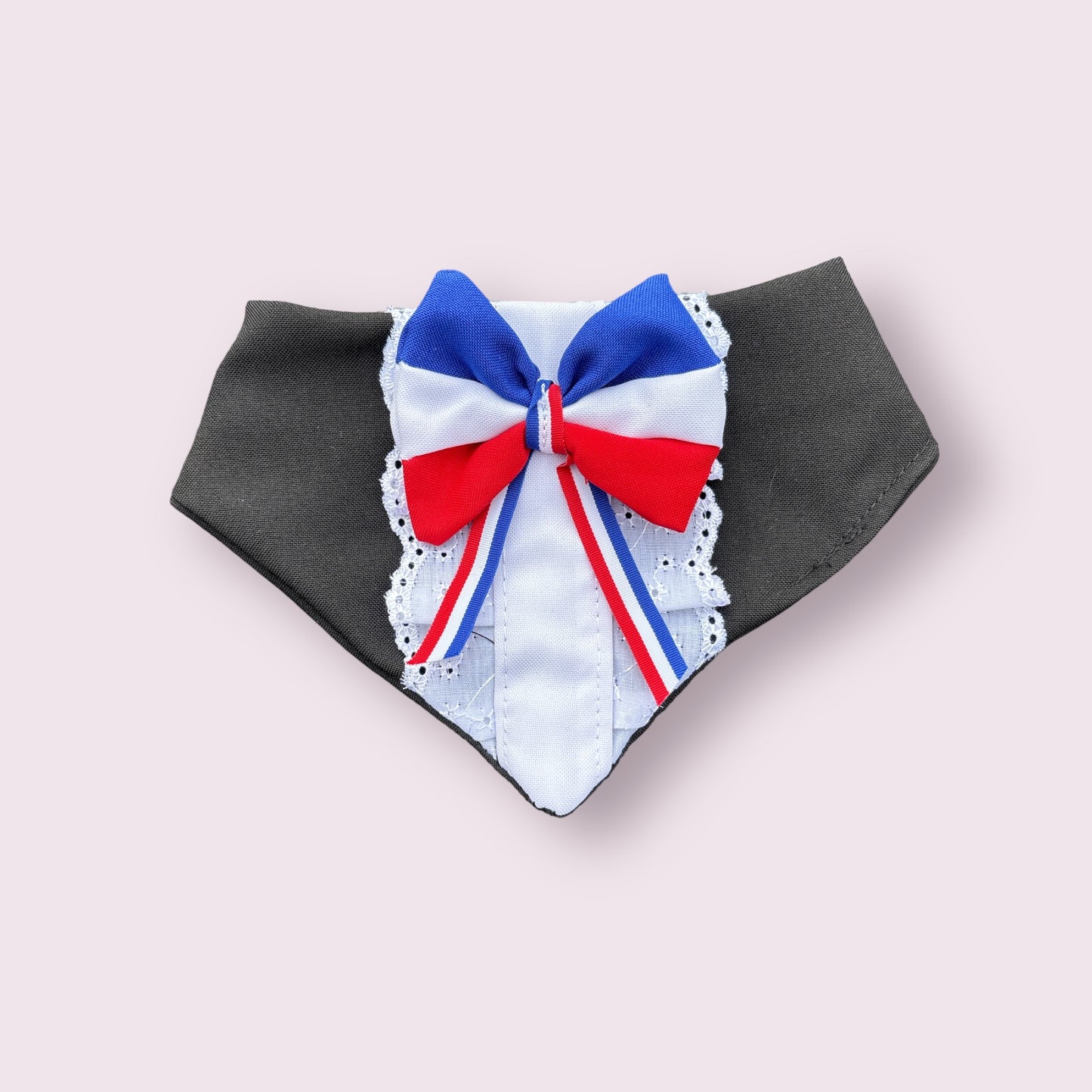 Bandana Mascota Huasa Elegante