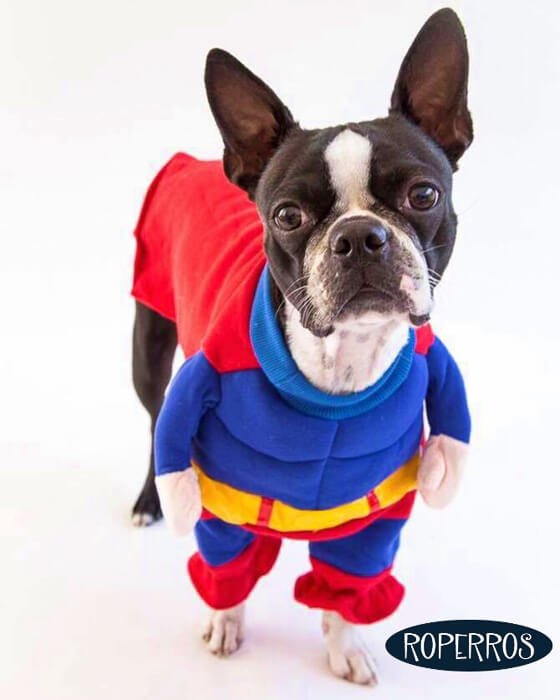 Disfraz Superman Musculoso