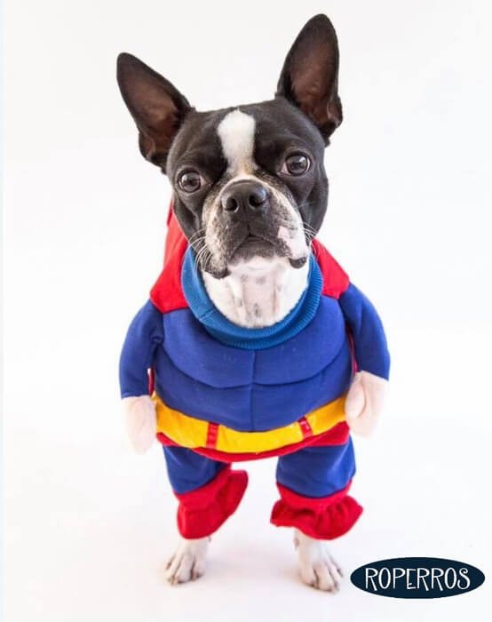 Disfraz Superman Musculoso