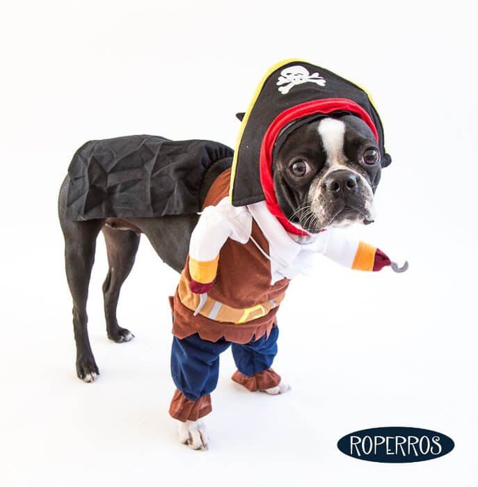 Disfraz Pirata para perro o gato