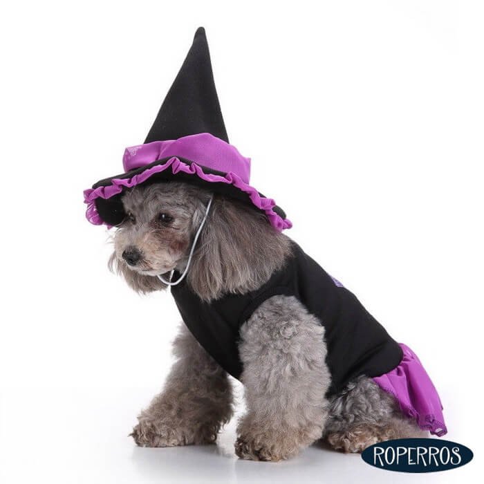 Disfraz Bruja Morado M