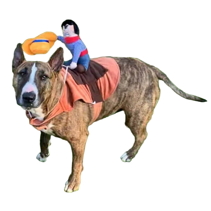 Disfraz de Vaquero para perros o gatos