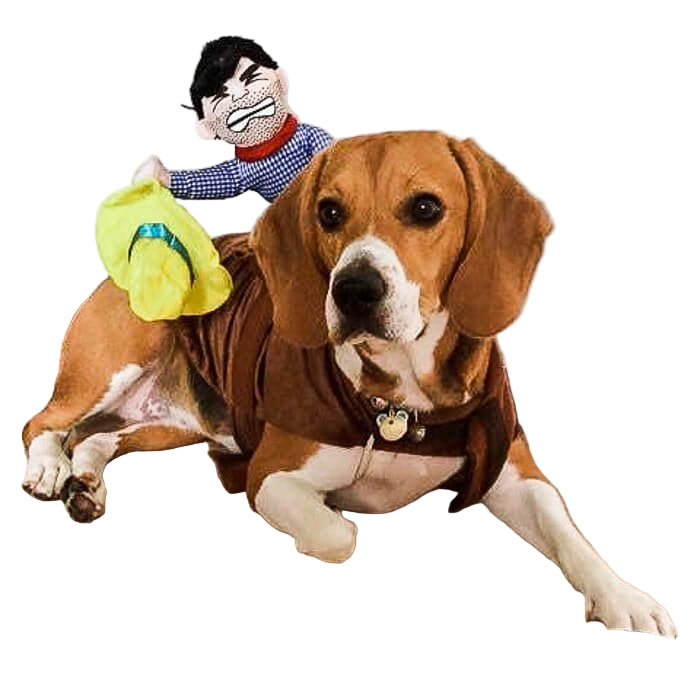Disfraz de Vaquero para perros o gatos