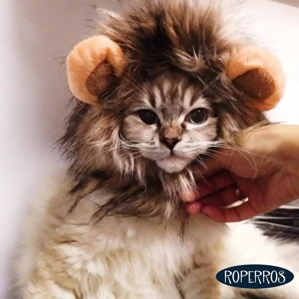 Peluca de León para perros