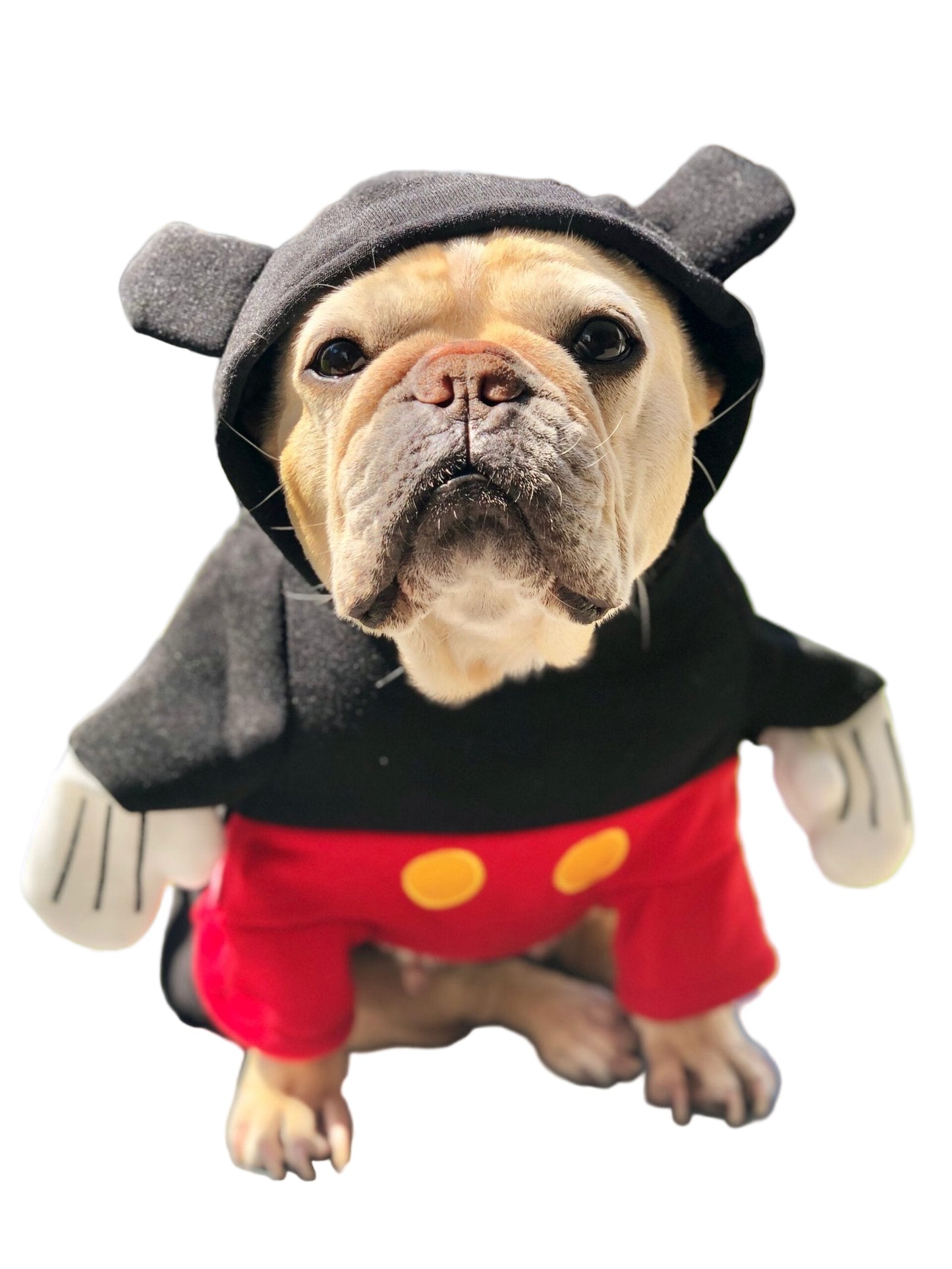 Disfraz Mickey para perros