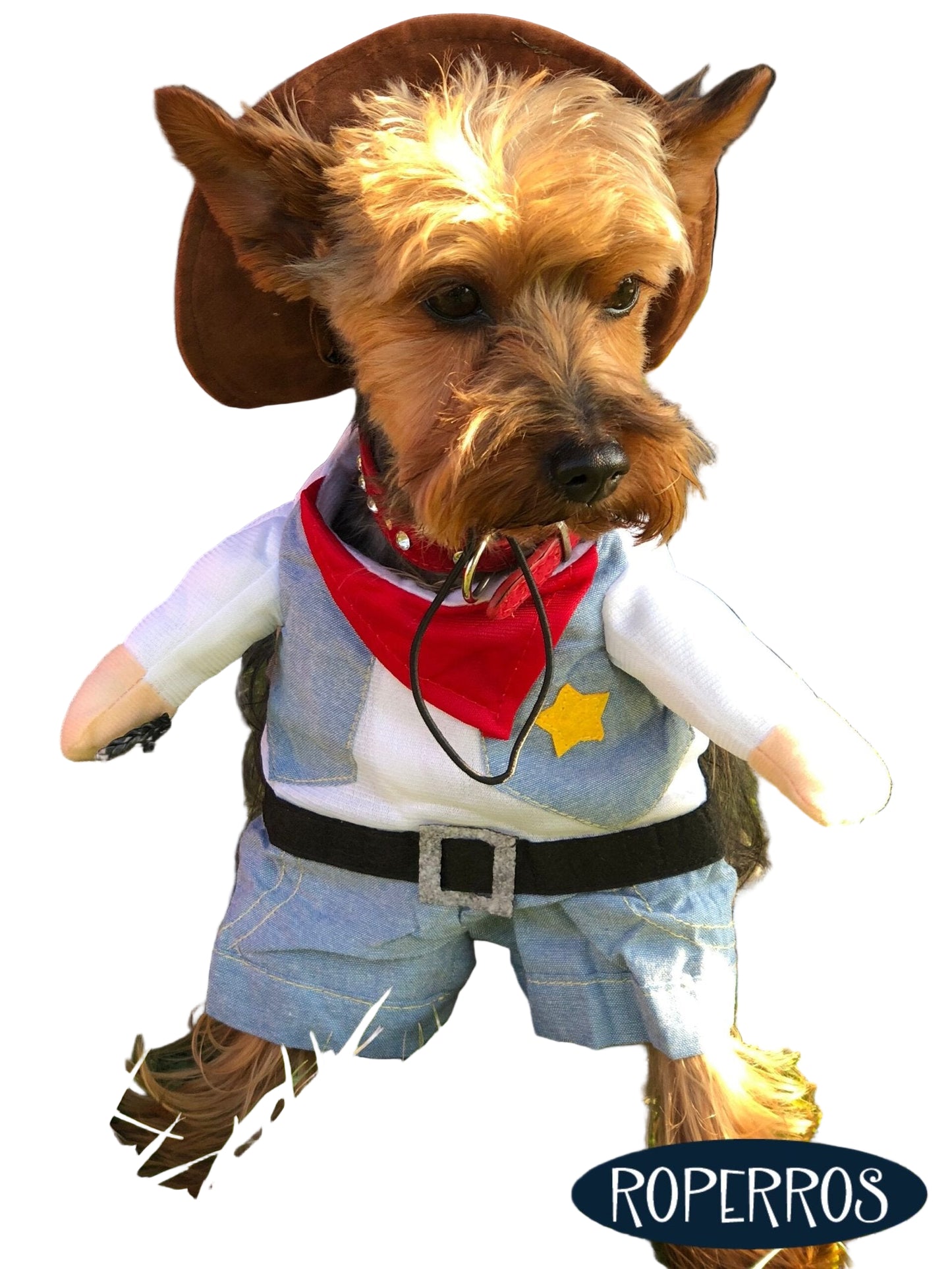 Disfraz Sherif para perro o gato