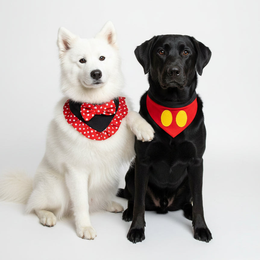Bandanas de Mickey y Minnie para mascotas