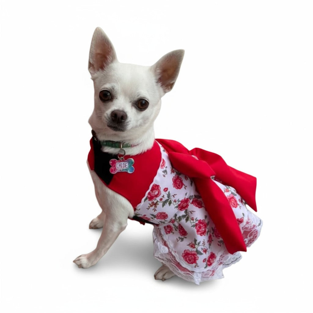 Vestido perrita- gatita: China Dieciochera (Angosto)