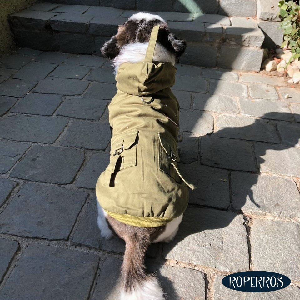 Chaqueta Militar
