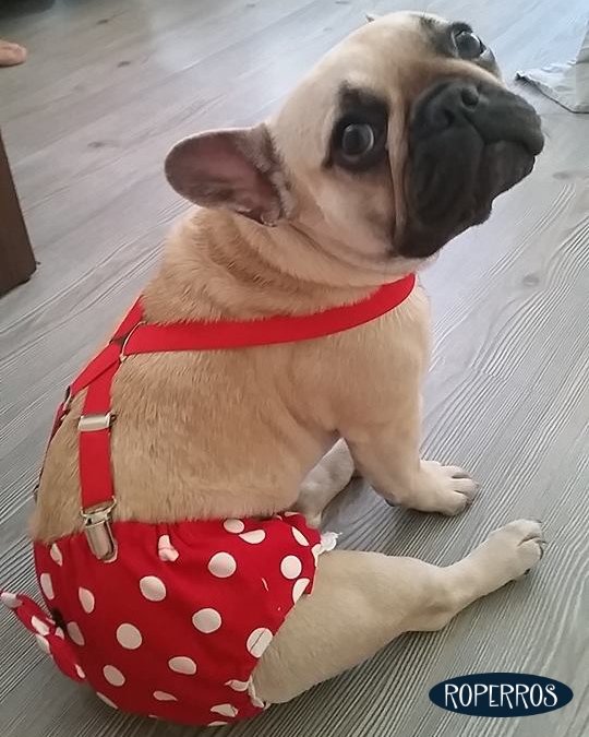 Calzon Celo Minnie