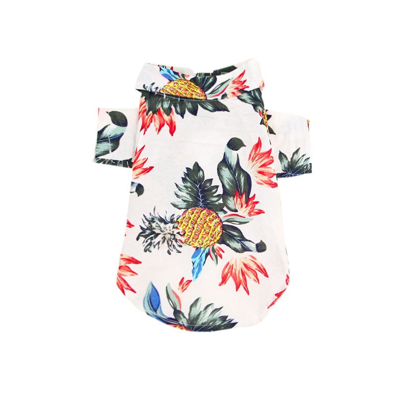 Guayaberas
