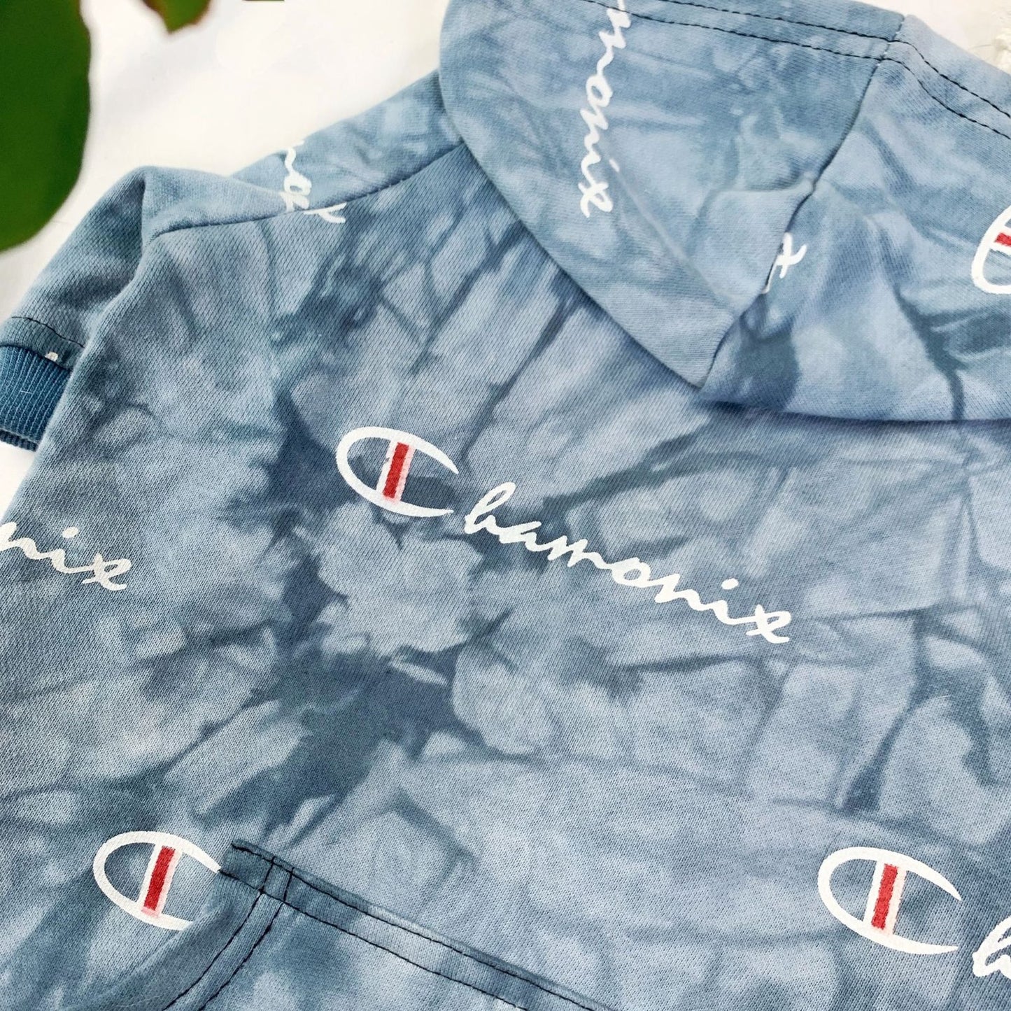 Champion Tie Dye