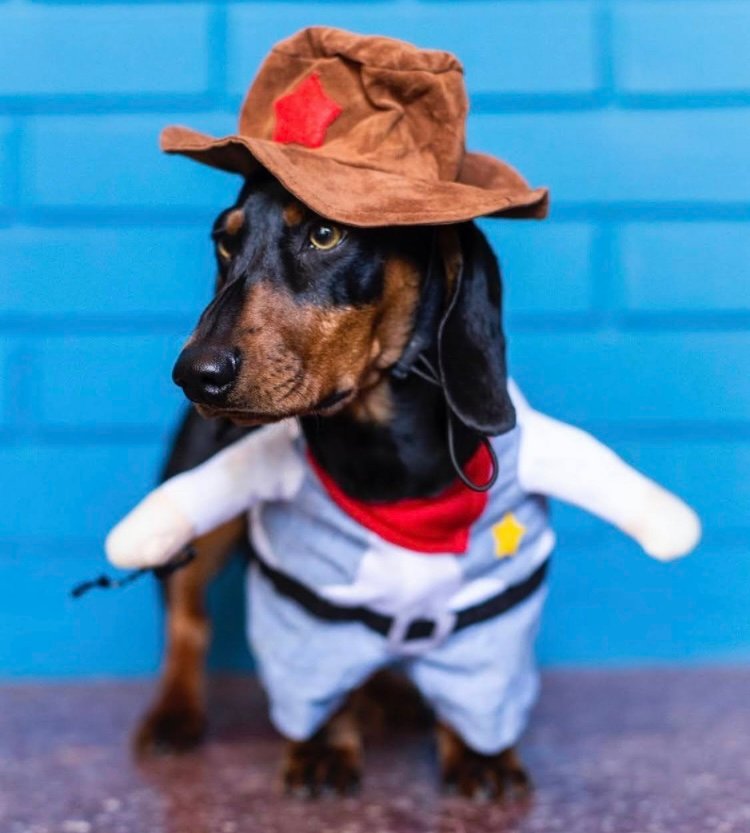 Disfraz Sheriff