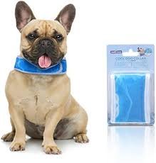 Collar Refrigerantes