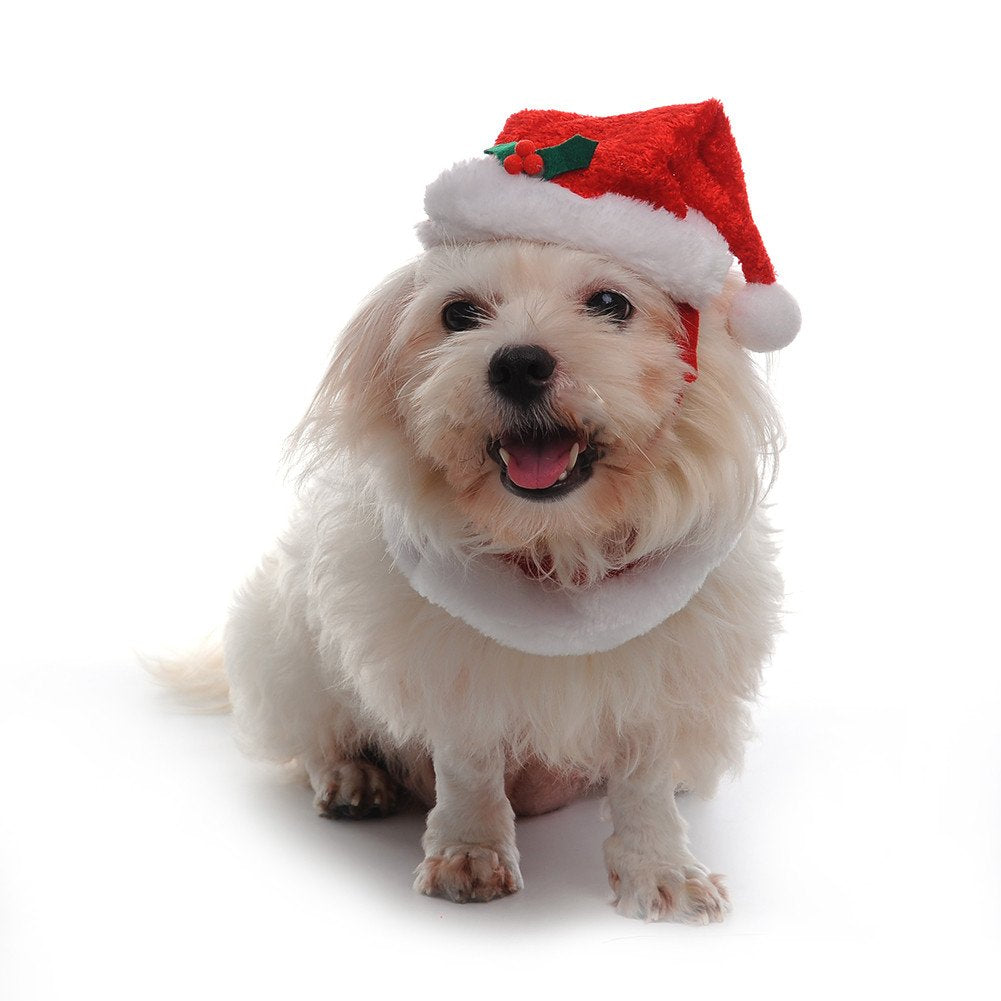 Conjunto Navidad