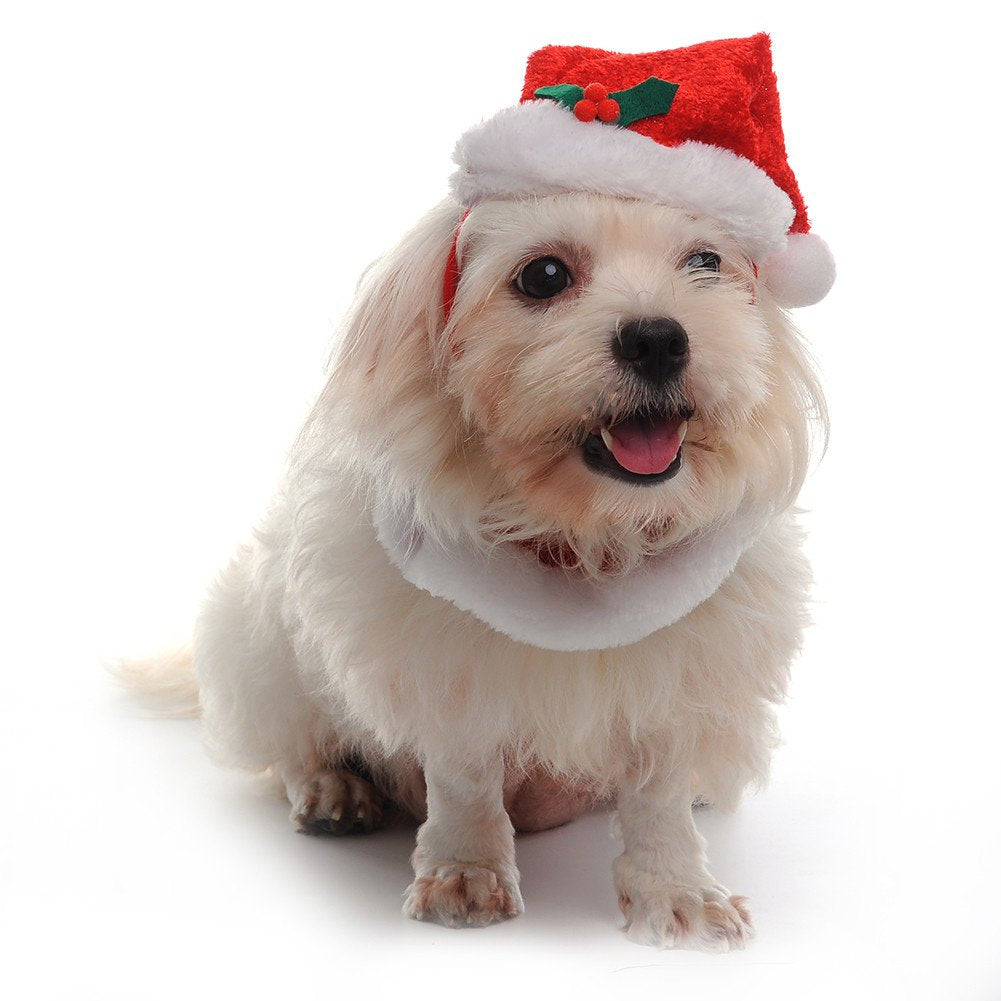 Conjunto Navidad
