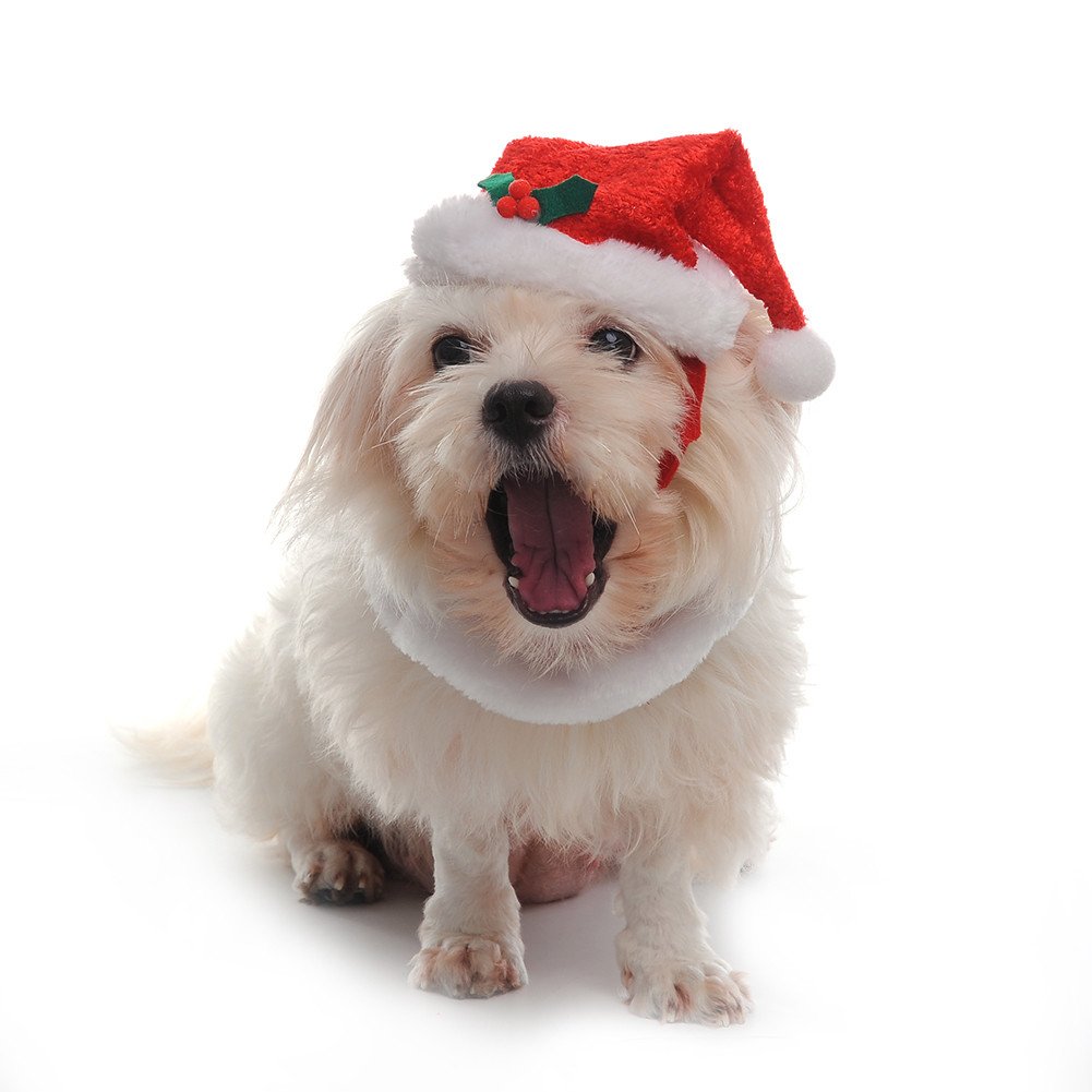 Conjunto Navidad