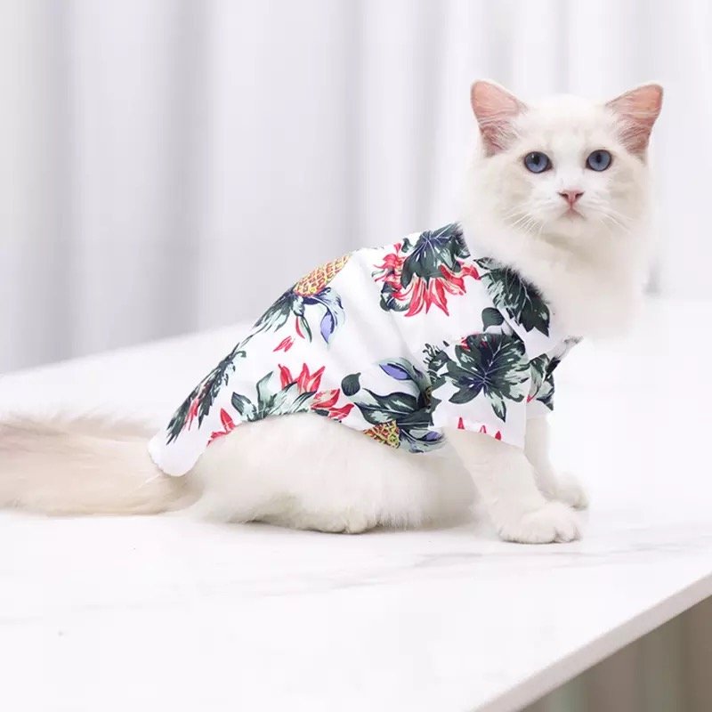 Guayaberas