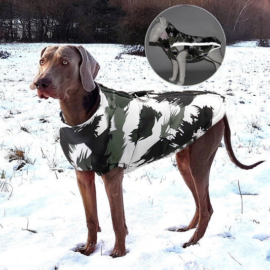 Parka Perros Grandes