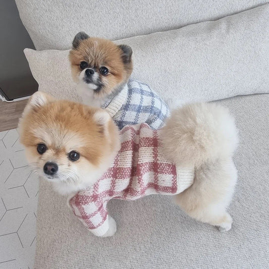 Sweter Cuadros