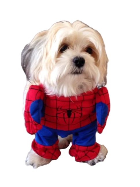 Disfraz de Superheroe para perros o gatos