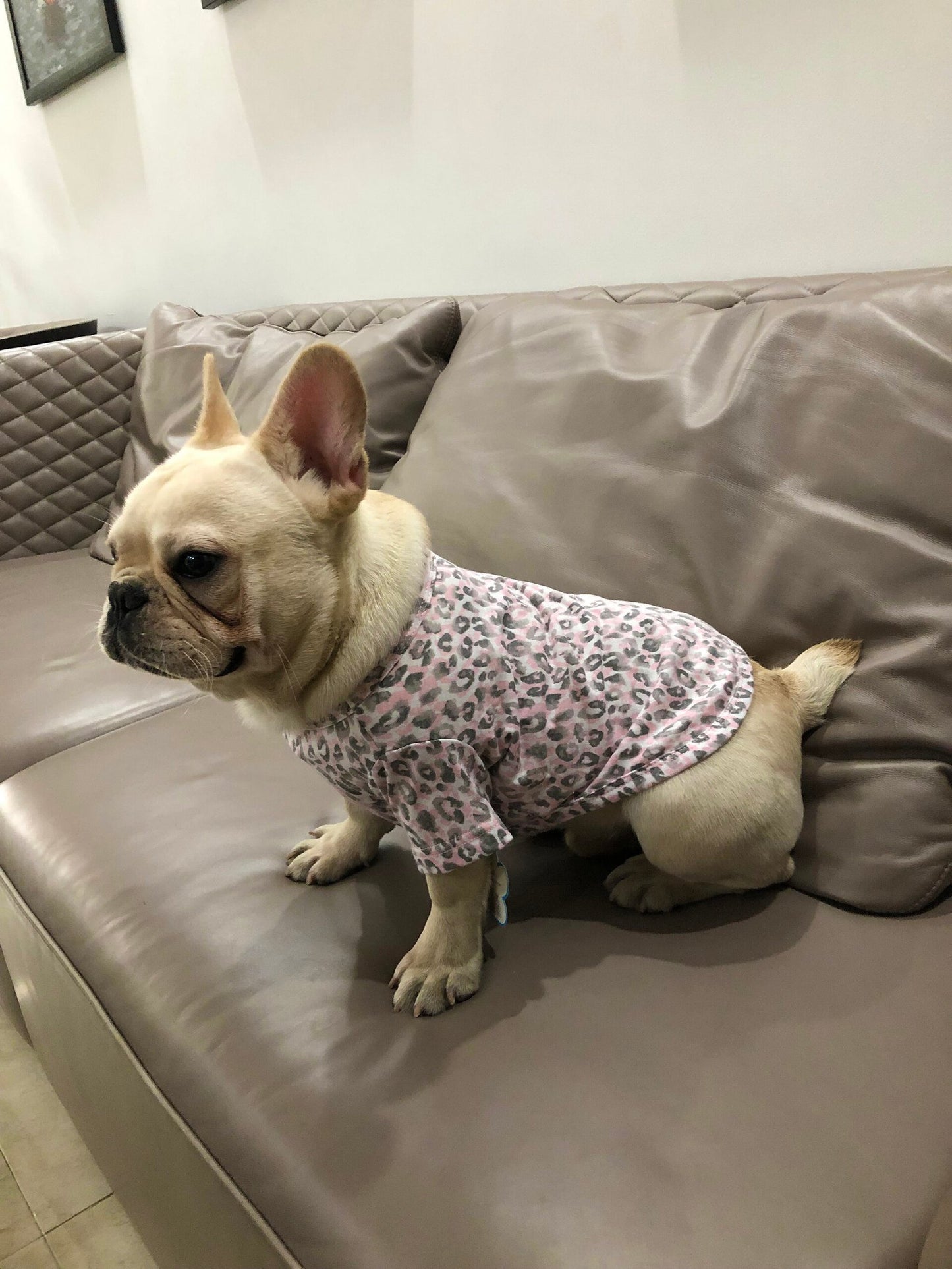 Polera Animal Print