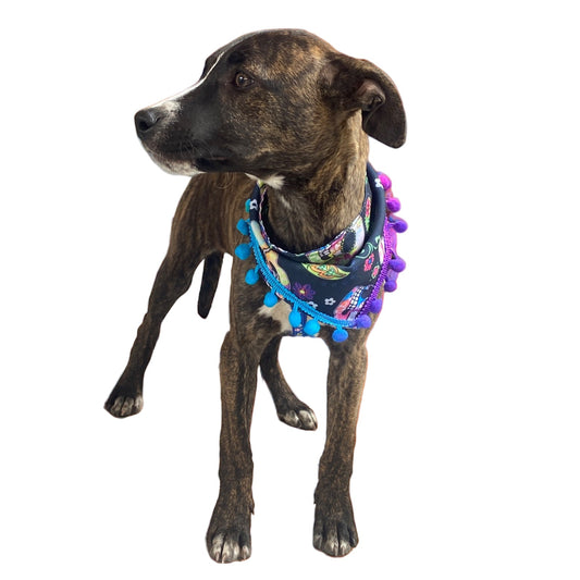 Bandanas Halloween Mix para perros
