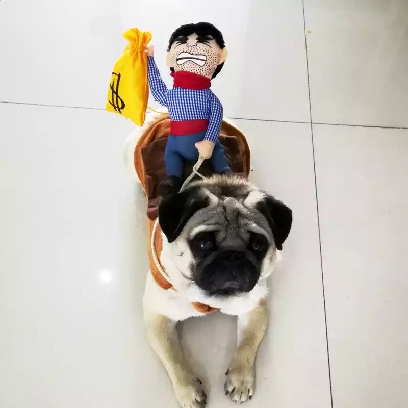 Vaquero