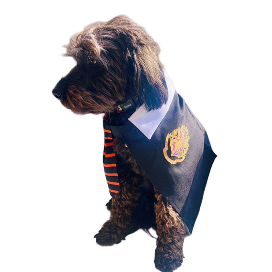 Disfraz Harry Potter para perro y gato